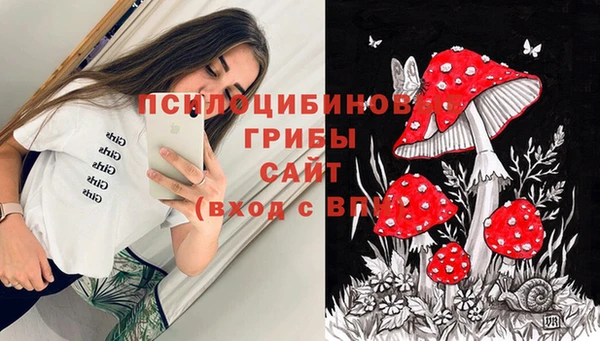 амф Липки