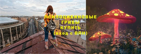 бошки Лихославль